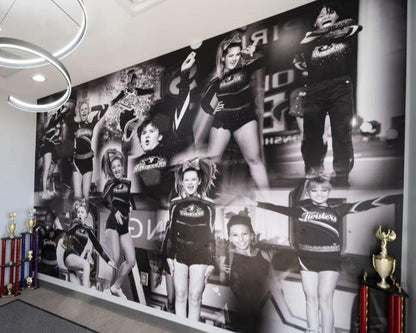 Custom Vinyl Wall Murals